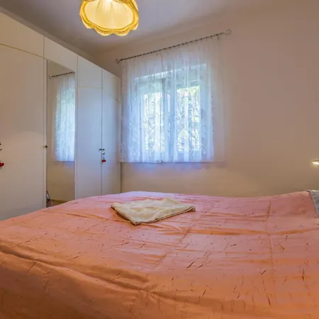 Apartment Viki D