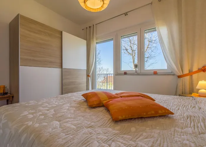 Viki D アパート *