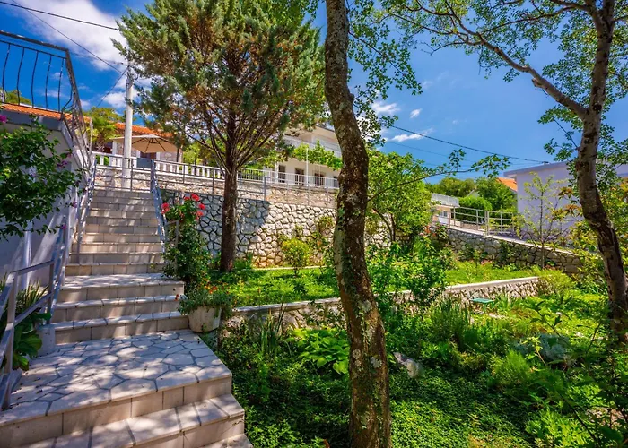 Viki D アパート ドラマリ